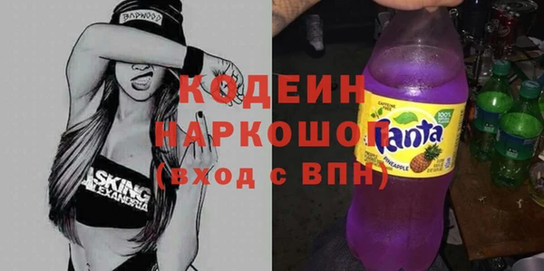 хмурый Арсеньев