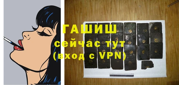 хмурый Арсеньев
