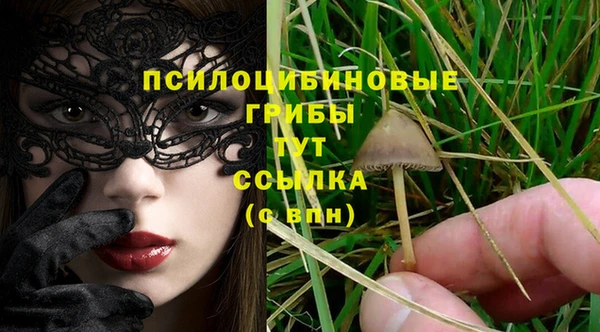 таблы Армянск