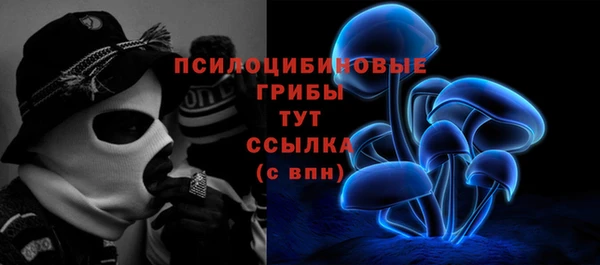 а пвп мука Аркадак
