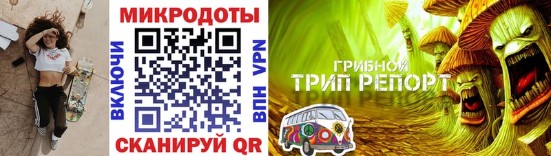 как найти закладки  Соль-Илецк  Галлюциногенные грибы Cubensis 